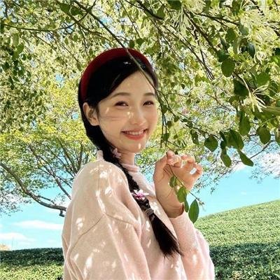 以规则之名
